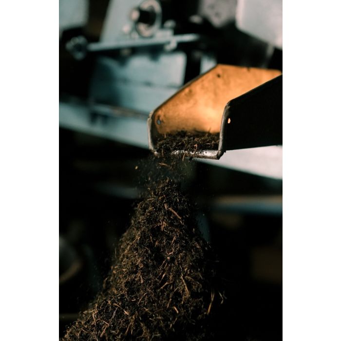 1927-Orthodox tea Leaf