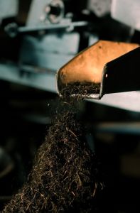 1927-Orthodox tea Leaf 