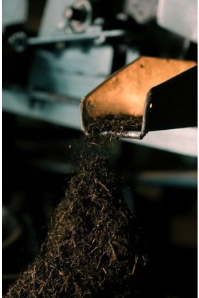 1927-Orthodox tea Leaf